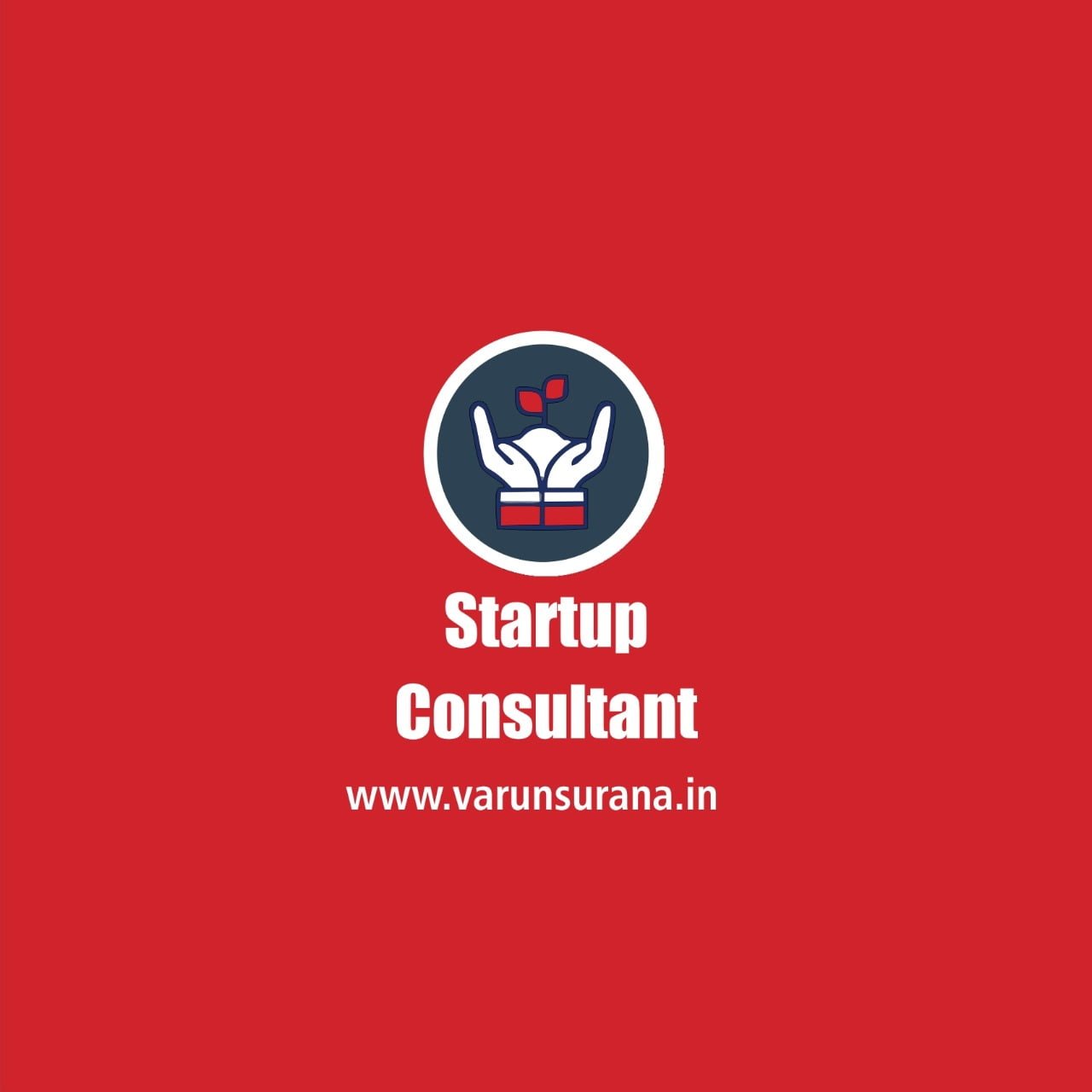 Startup Consultant