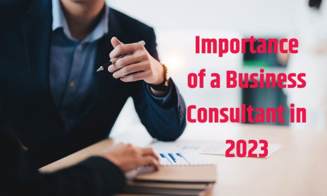 Importance of a Business Consultant in 2023