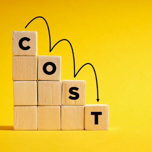 cost reduction and operational efficiency - how to increase profit in indian businesses