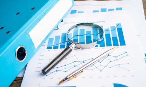 Data Analysis & Reporting - best sme consultant in india